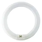 Osram T9 Lumilux Circline 32W - 840 Bianco Freddo | 30cm
